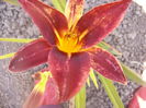P1240897