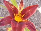 P1240898