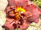 P1240902