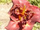 P1240904