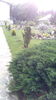IMG_20150523_181109 - Copie - Copie - Copie - Copie