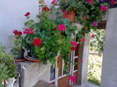 La soledad 5882