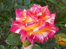 DSCN4938