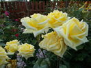 DSCN4951