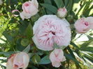 DSCN5027