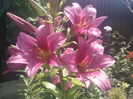 IMG_20150704_131827