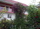 IMGP8839