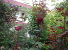 IMGP8840