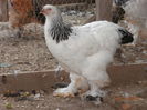 P7030084