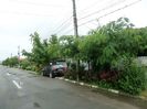 SAM_8563