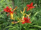 SAM_8968