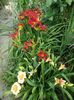 SAM_9180