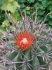 IMG_20150704_135741