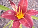 P1250010