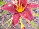 P1250011