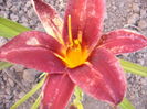 P1250012