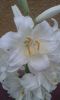 20150609_202816