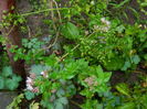 DSCN1764