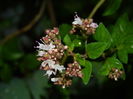 DSCN1765