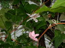 DSCN1767