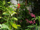 DSCN1769