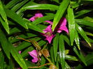 DSCN1802