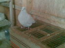 Picture 017