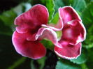 P7020008