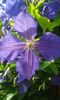 20150610_162452