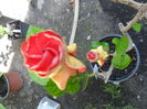 SAM_6923