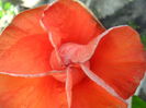 SAM_6924