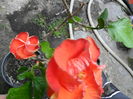 SAM_6937