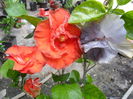SAM_6940