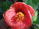 SAM_6809