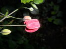 SAM_6819