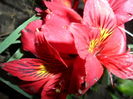 SAM_6845