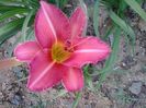 20150701_072506