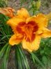 20150702_162701