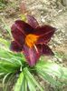 20150702_162732