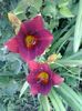 20150703_071822