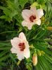 20150703_071935