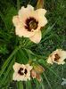 20150703_073020
