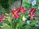 20150703_073055