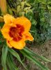 20150703_073322
