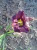 20150704_071441