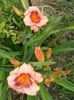 20150704_145907