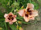 20150704_145920