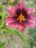 20150704_150058