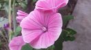 20150705_150728