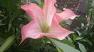 20150705_143902